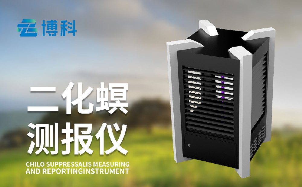 二化螟測(cè)報(bào)儀助力水稻二化螟蟲害治理